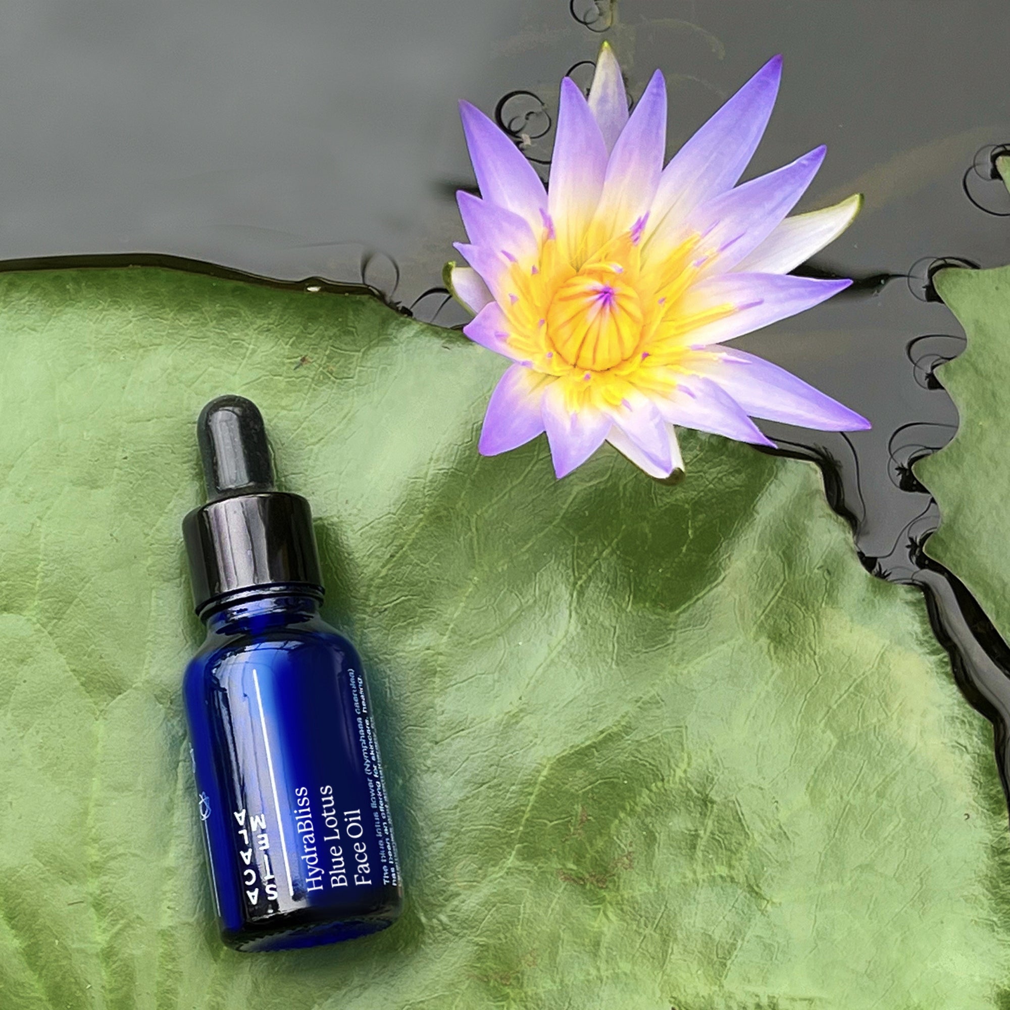 Blue bottle of Acala Stem Hydabliss Blue Lotus Face Oil with dropper on a green leaf with a purple flower