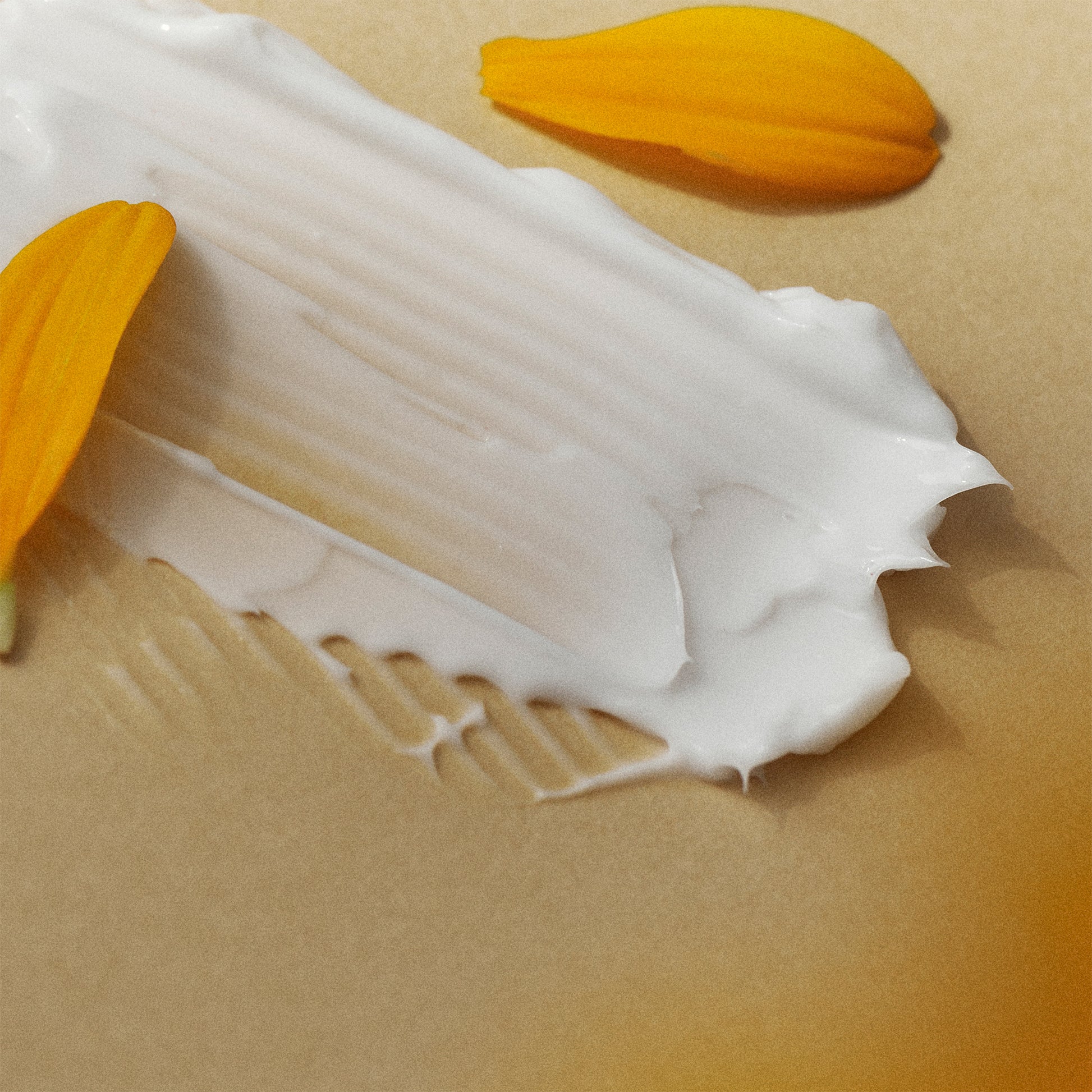 Bean Skin Care white cream smear on beige surface with orange petal for eye treatment