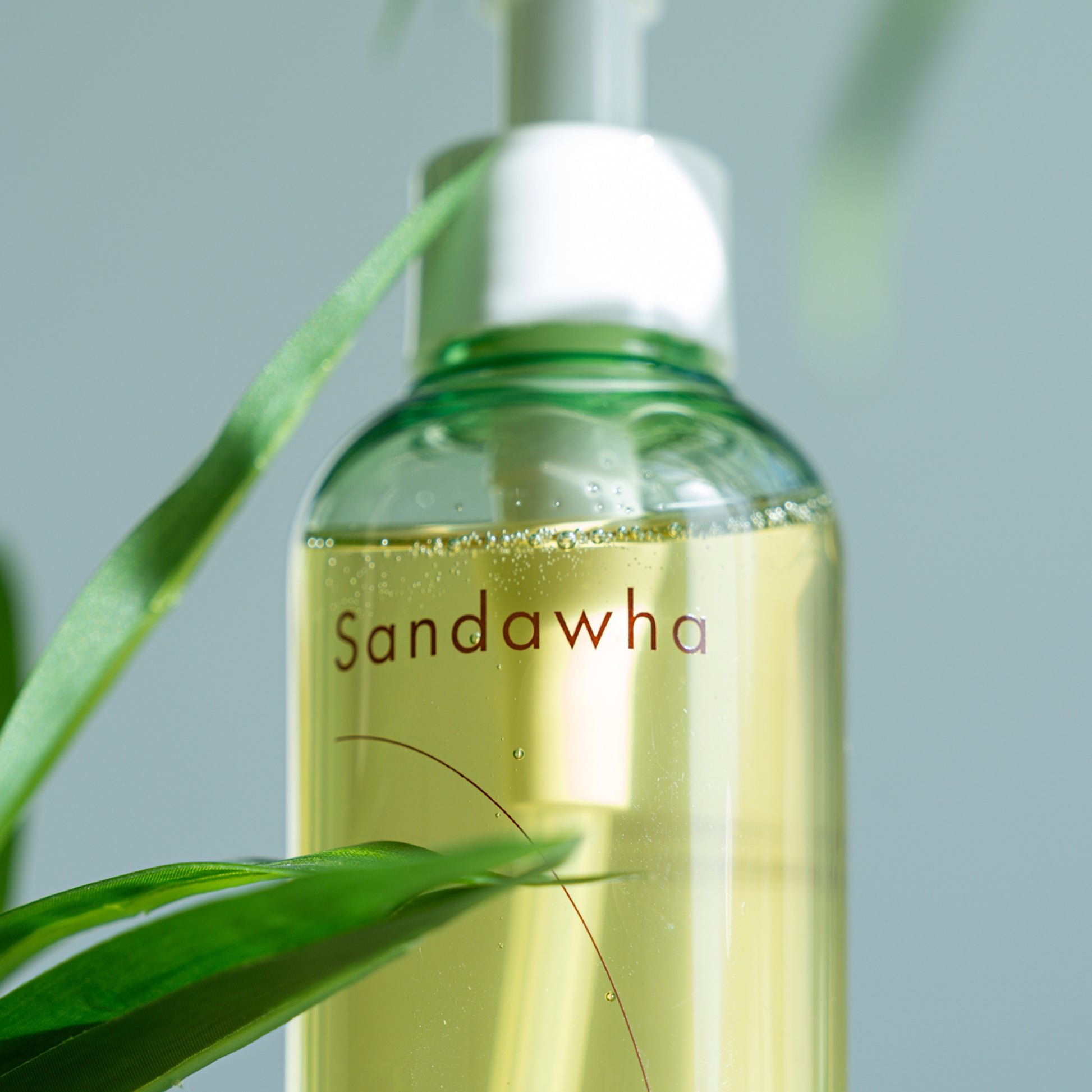 Sandawha Natural Mild Cleansing Oil with green pump and plant, close-up.