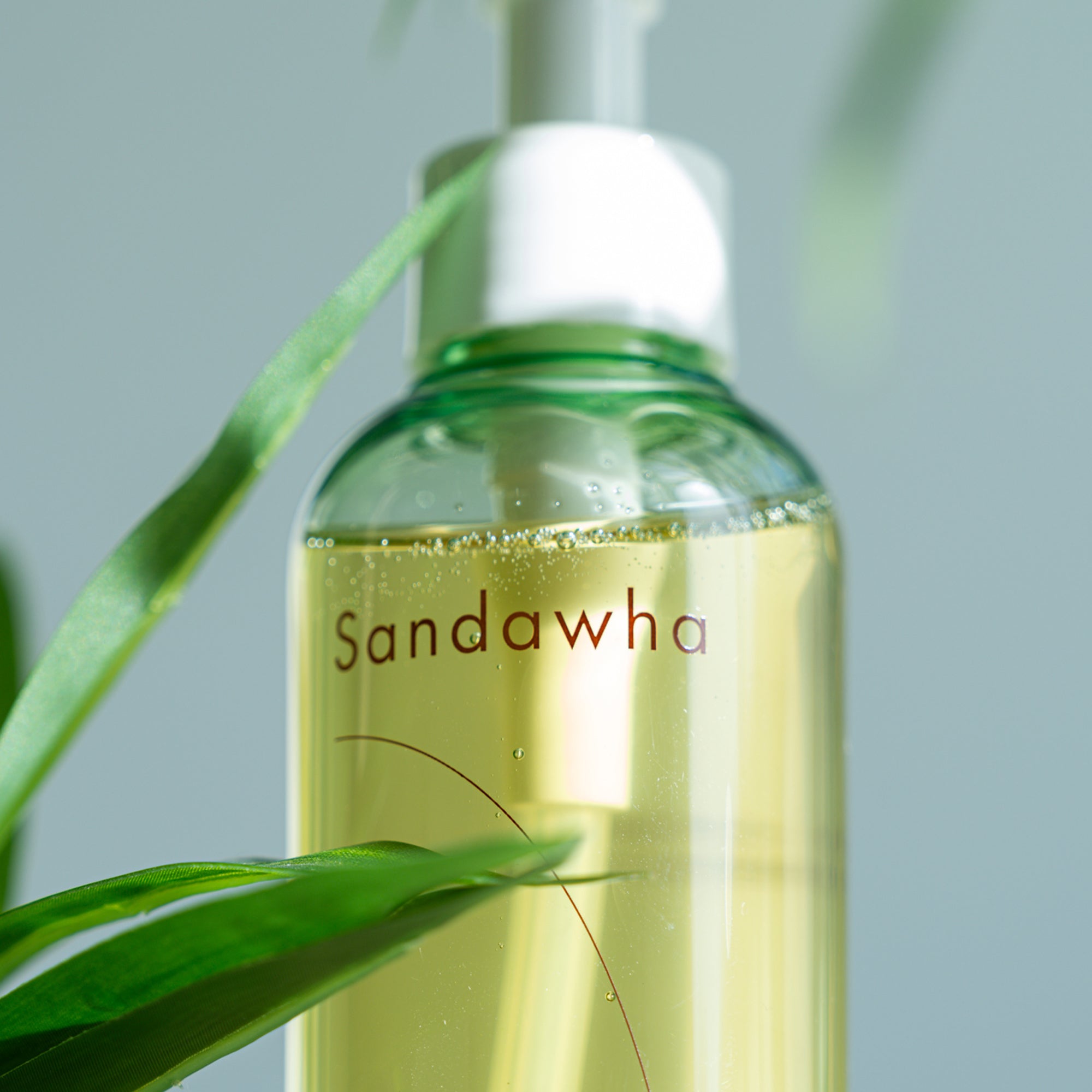 Sandawha Natural Mild Cleansing Oil with green pump and plant, close-up.