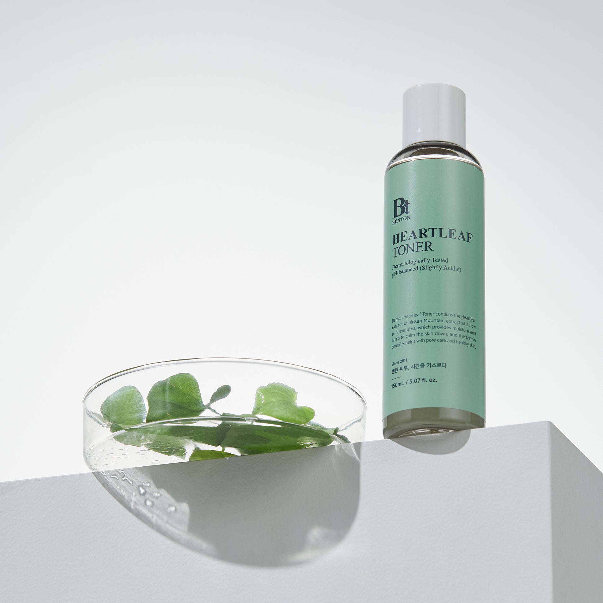 Benton Heartleaf Toner bottle with heartleaf plant in a petri dish on white surface.