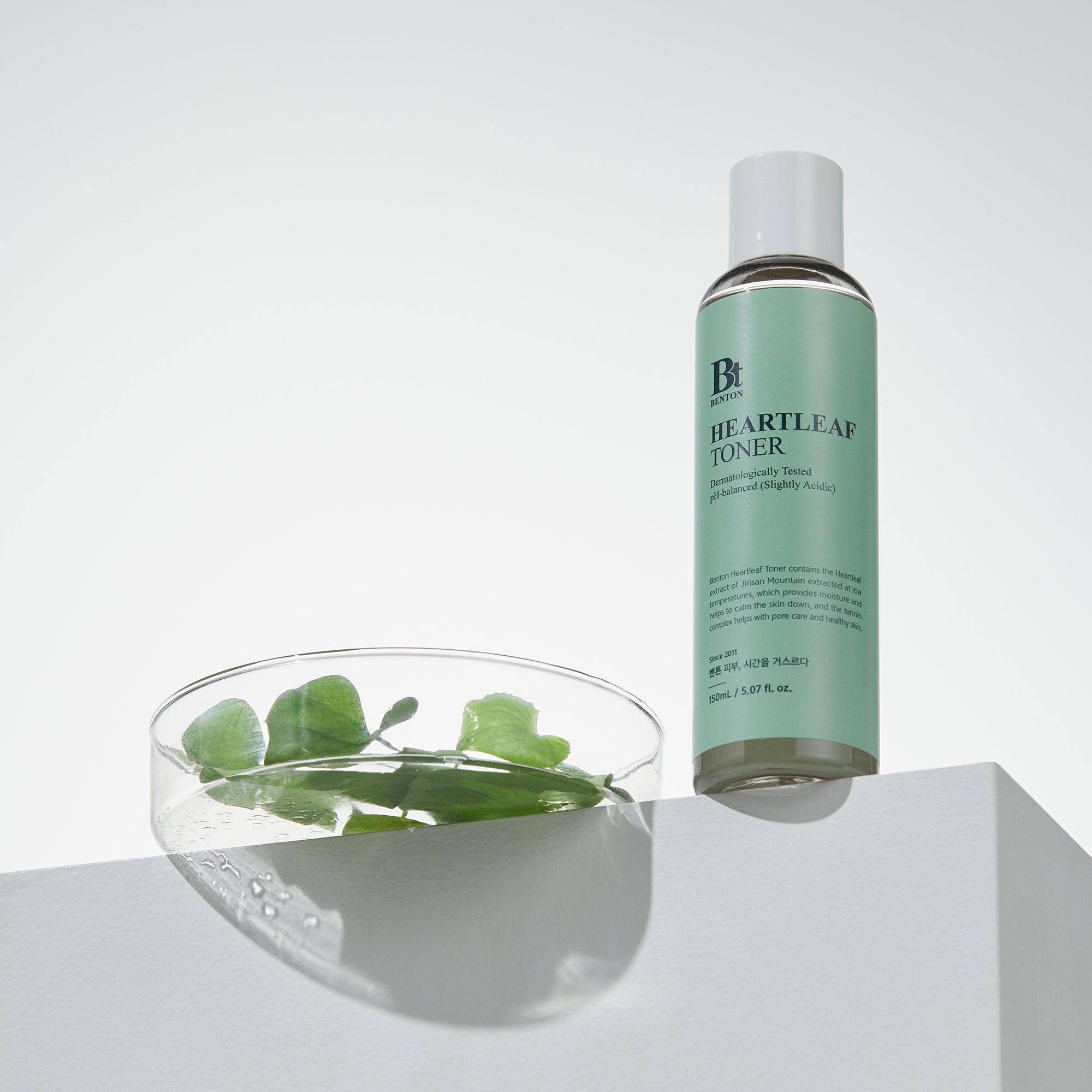 Benton Heartleaf Toner bottle with heartleaf plant in a petri dish on white surface.